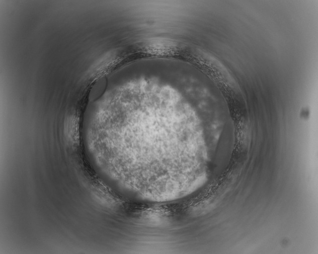 X0000116860696201001191702