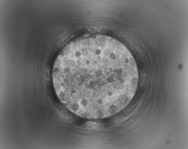 X0000116860699201001191702