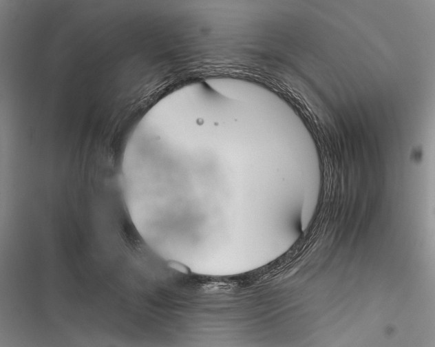 X0000116860700201001191702