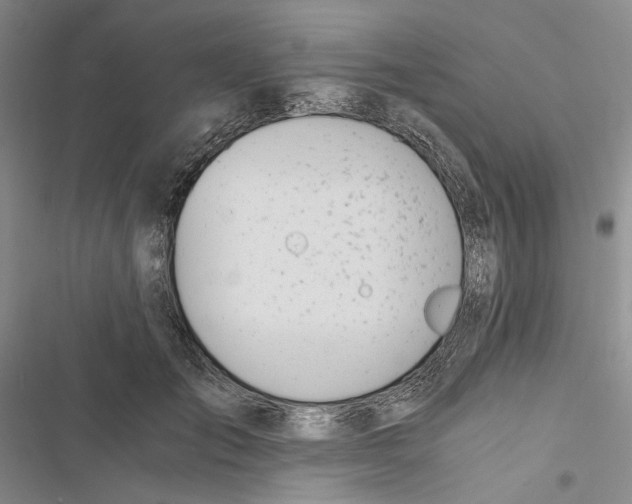 X0000116860701201001191702