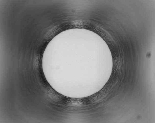 X0000116860702201001191702