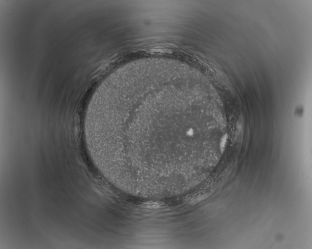 X0000116860704201001191702