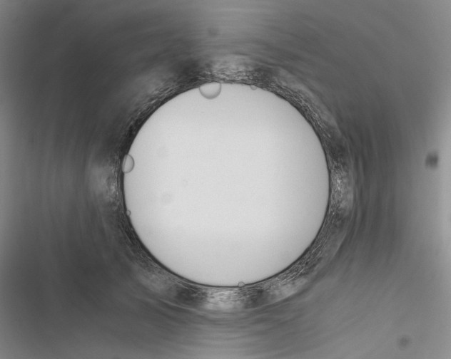 X0000116860705201001191702