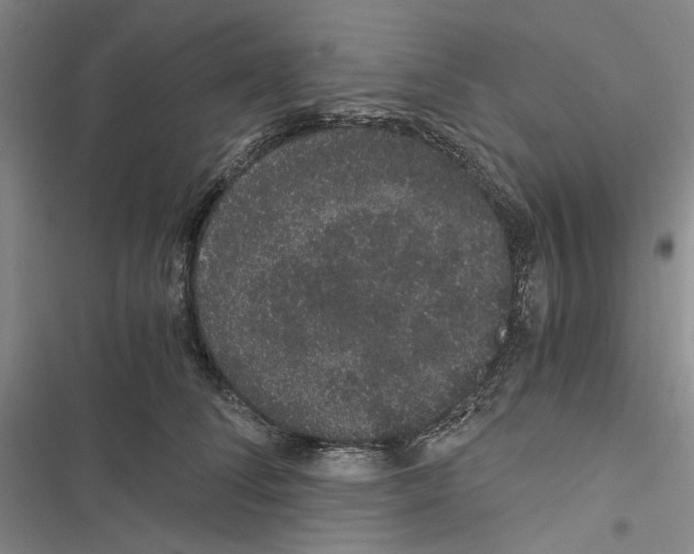 X0000116860708201001191702