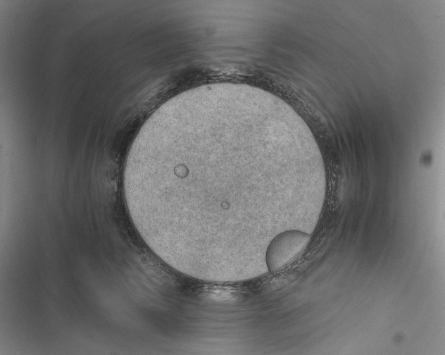 X0000116860710201001191702