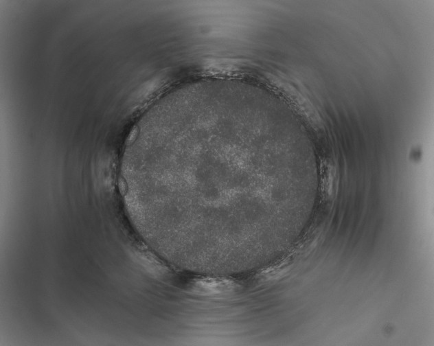 X0000116860712201001191702