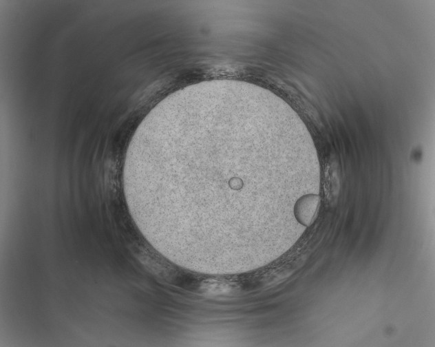 X0000116860714201001191702