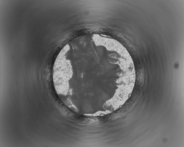 X0000116860715201001191702