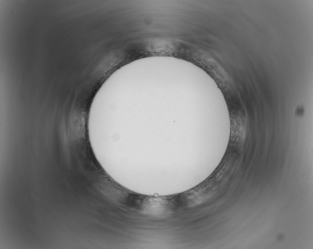 X0000116860717201001191702