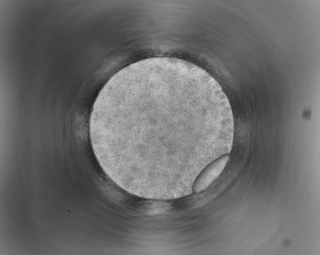 X0000116860719201001191702