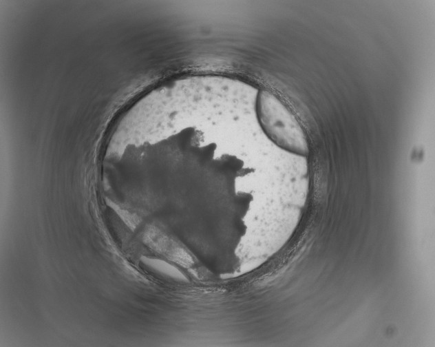 X0000116860721201001191701