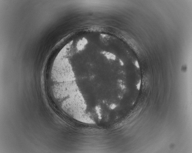 X0000116860722201001191701