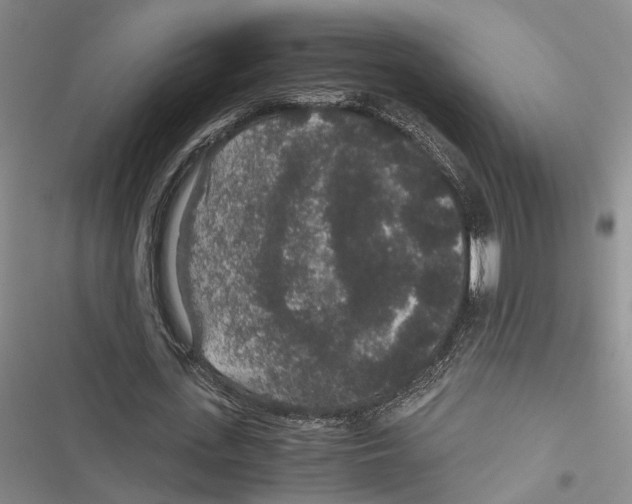 X0000116860723201001191701