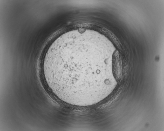 X0000116860725201001191701