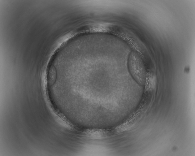 X0000116860726201001191701