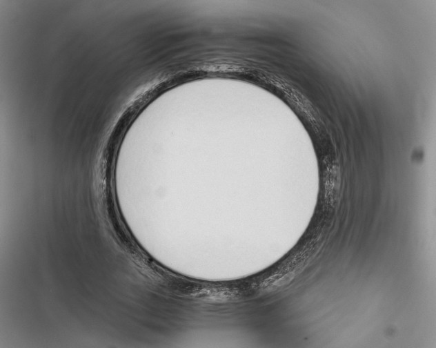 X0000116860727201001191701