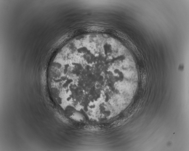 X0000116860729201001191701