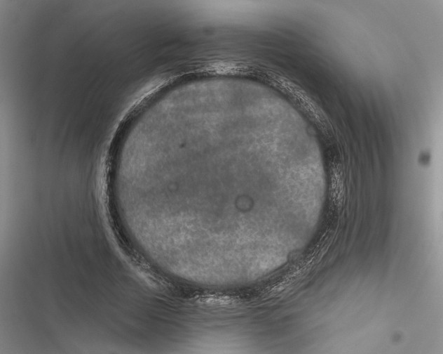 X0000116860730201001191701