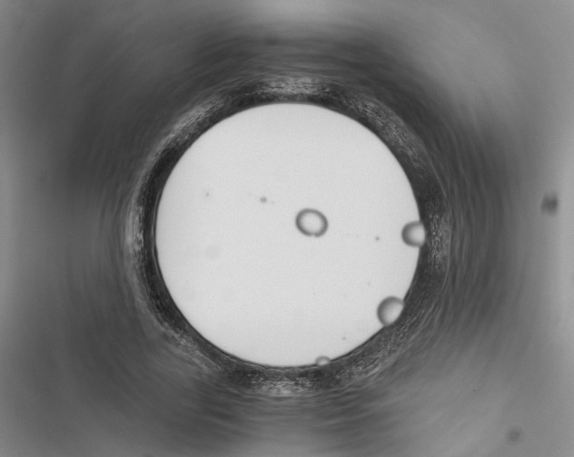 X0000116860731201001191701