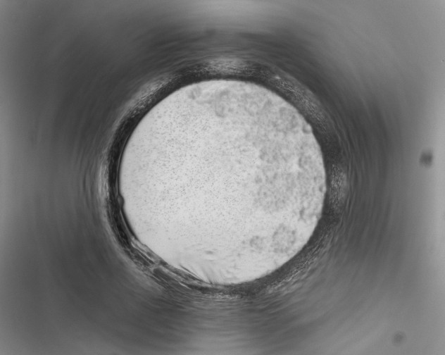 X0000116860734201001191701