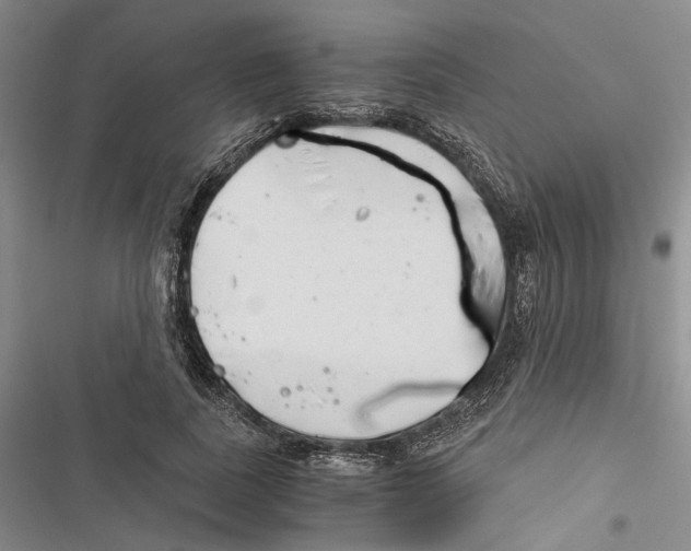 X0000116860739201001191701