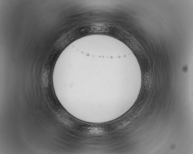 X0000116860741201001191701