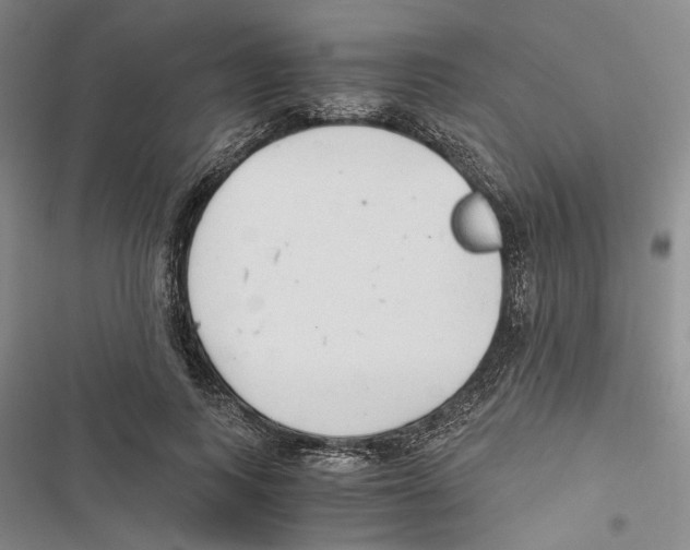 X0000116860743201001191701