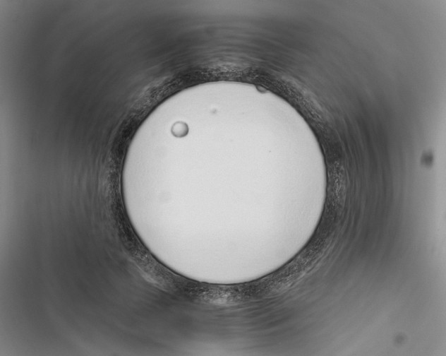 X0000116860745201001191701