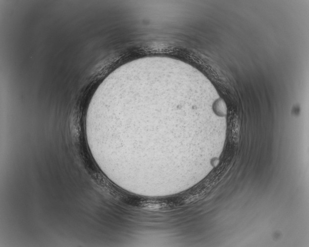 X0000116860746201001191701