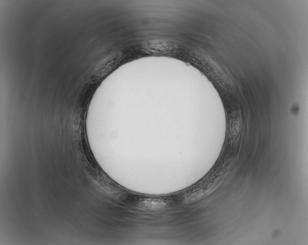 X0000116860749201001191701