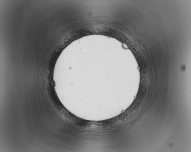 X0000116860750201001191701