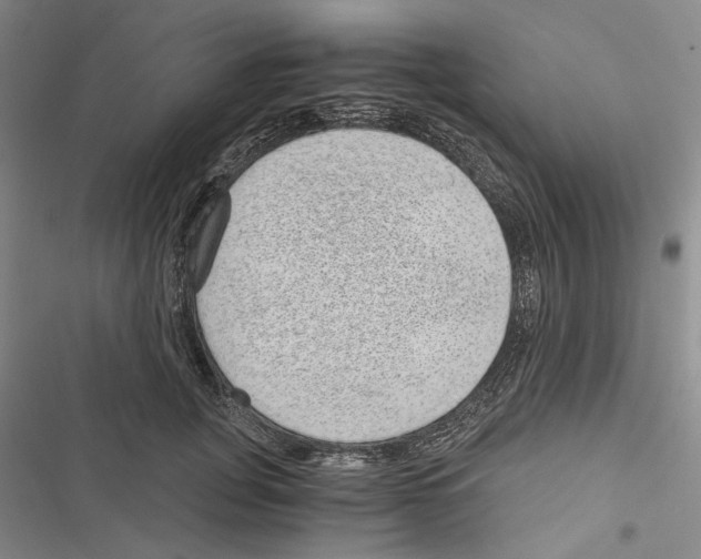 X0000116860751201001191701