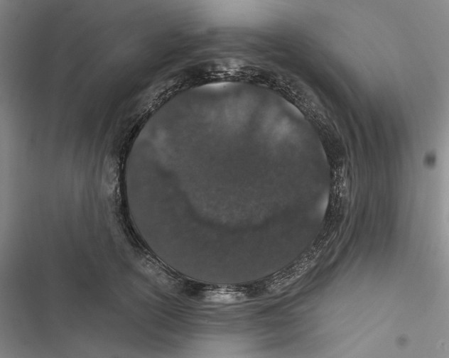 X0000116860754201001191701