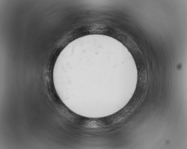 X0000116860755201001191701