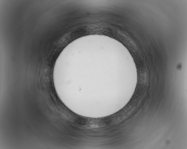 X0000116860757201001191701