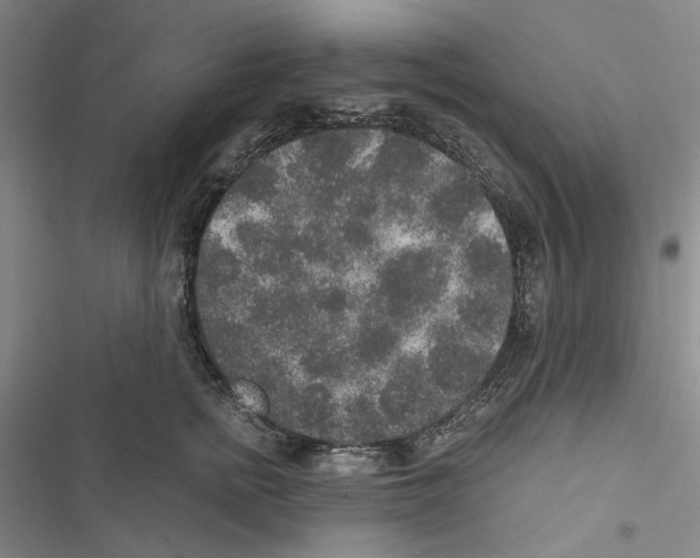 X0000116860758201001191701