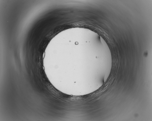 X0000116860762201001191701