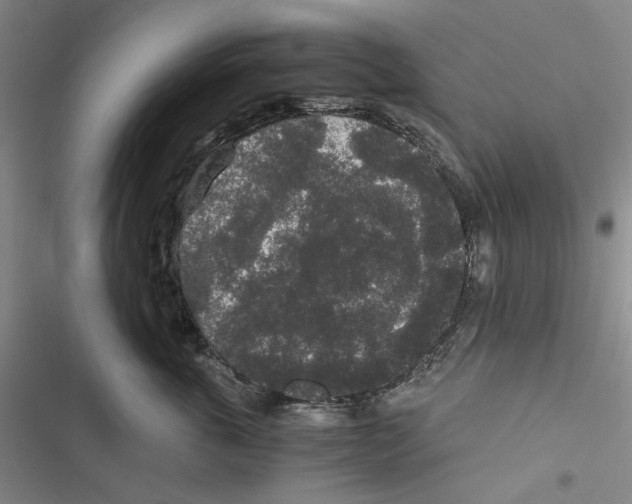 X0000116860763201001191701