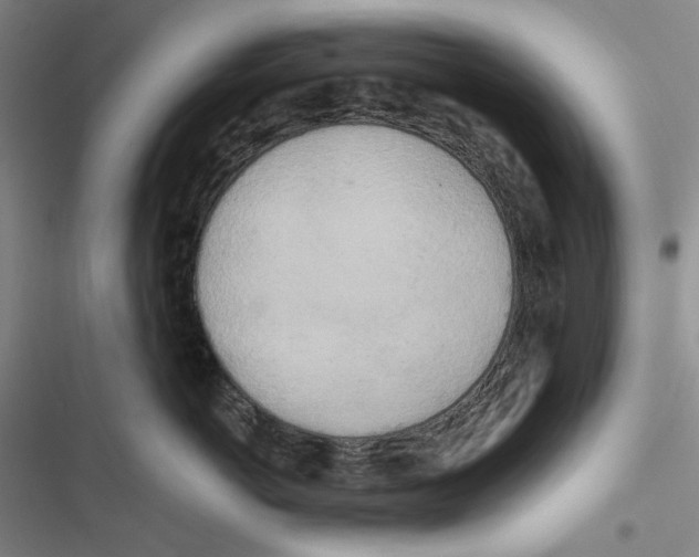 X0000116860766201001191701