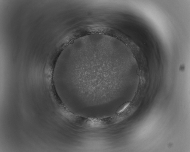 X0000116860767201001191701