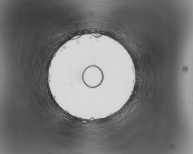 X0000116860769201001191701