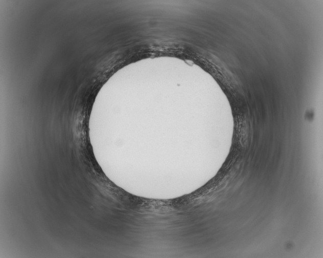 X0000116860770201001191701