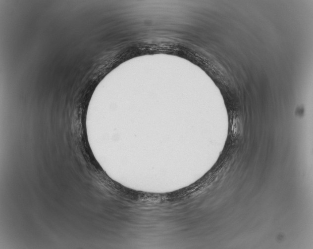 X0000116860771201001191701