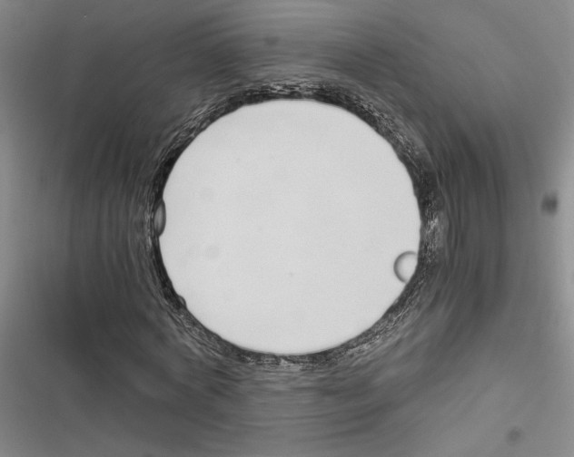 X0000116860772201001191701