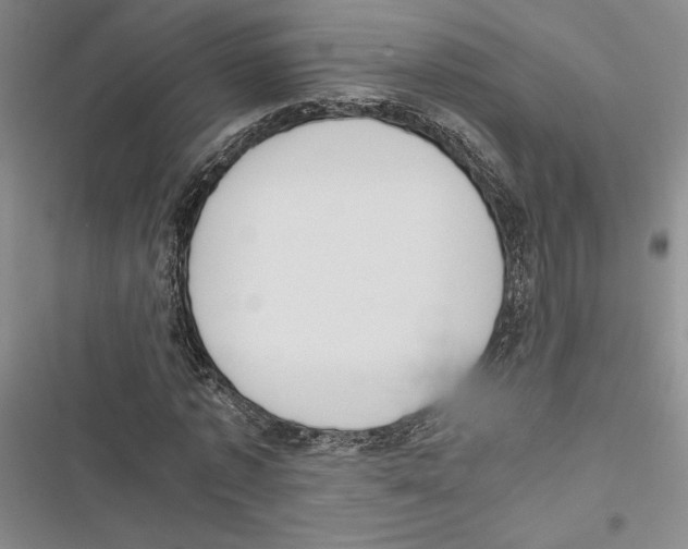 X0000116860773201001191701