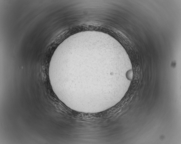 X0000116860774201001191701