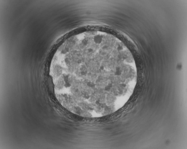 X0000116860775201001191701