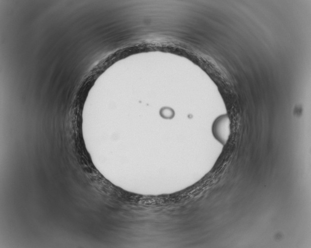 X0000116860776201001191701