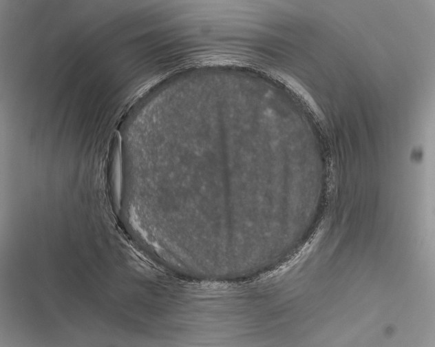 X0000116860777201001191701