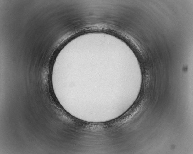 X0000116860778201001191701